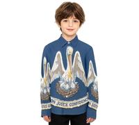 Ragazzi Button Down Camicia Manica Lunga Pittura A Olio Bandiera Louisiana | Taglia 4-12 anni, camicia con colletto, abbottonatura, senza pieghe, tessuto misto, abito primaverile autunnale