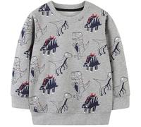 Ragazzo Felpa Senza Cappuccio Natale Dinosauro Cotone Manica Lunga Casual Pullover per Bambini 2-3 Anni