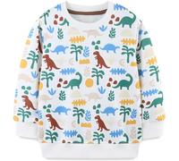 Ragazzo Felpa Senza Cappuccio Natale Dinosauro Cotone Manica Lunga Casual Pullover per Bambini 3-4 Anni