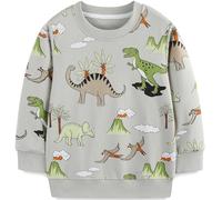 Ragazzo Felpa Senza Cappuccio Natale Dinosauro Cotone Manica Lunga Casual Pullover per Bambini 3-4 Anni
