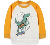 Ragazzo Felpa Senza Cappuccio Natale Dinosauro Cotone Manica Lunga Casual Pullover per Bambini 5-6 Anni