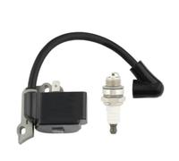 RAGDAA Bobina di accensione for Stihl FS38 FS45 FS55 FC55 HL45 HS45 KM55 1306A Decespugliatore 4140 400 1308 Tosaerba Tagliaerba Attrezzo da Giardino