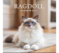 Ragdoll Cat Calendar 2026: Gentle Nature, Blue Eyes & Fluffy Elegance