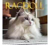 Ragdoll Cat Calendar 2027: Fluffy Cats and Indoor Portraits