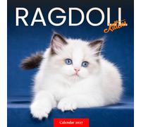 Ragdoll Kittens Calendar 2027: Young Cat Photography