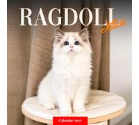 Ragdoll Kittens Calendar 2027: Young Cat Photography