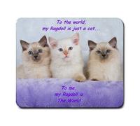 RAGDOLL KITTY CAT CATS COMPUTER MOUSE MAT PAD MOUSEPAD