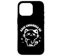 Rage Consumes Me Funny Kitten in a Hammock Cute Cat Ironic Custodia per iPhone 16 Pro
