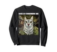 Rage Is Consuming Me Silly Staring Cat Meme Felpa