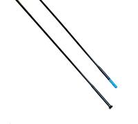 Raggi dritti Shimano WH-RS700-C30-TL-R Argenté