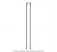 Raggi Sapim D-Light Inox J-Bend 280mm Neri con Nipples Ottone (4 pz)