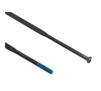 Raggi Shimano WH-RS770-C30-TL-F12 Argenté