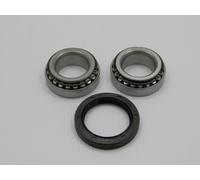 Raglagersatz Assale Posteriore Adatto A per Ford Escort 90-00, Fiesta 89-02 OE