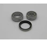 Raglagersatz Assale Posteriore Adatto A per Kia Rio II 00-05 OE zu Vergl 200661,