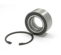 Raglagersatz Assale Posteriore Adatto A per Land Rover Freelander I/II 00 75 99