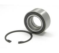 Raglagersatz Assale Posteriore Adatto A per Land Rover Freelander / II 00 75 99