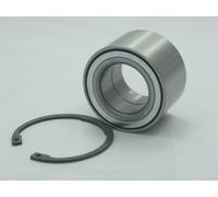 Raglagersatz Assale Posteriore Adatto A per Mitsubishi Vagone Spazio 2.0 N33/43