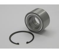 Raglagersatz Assale Posteriore Adatto A per Nissan x-Trail 4WD 01- OE zu Vergl