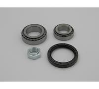 Raglagersatz Assale Posteriore Adatto per Citroen Jumper 94 Fiat Ducato 10/12/
