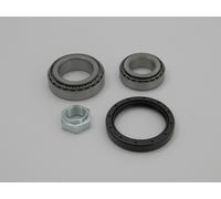 Raglagersatz Assale Posteriore Adatto per Citroen Jumper 94 Fiat Ducato 10/12/