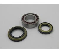 Raglagersatz Assale Posteriore Adatto per Hyundai H100 93 H150 97- Ö zu Vergl 20