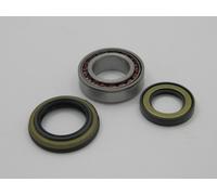 Raglagersatz Assale Posteriore Adatto per Hyundai H100 93 H150 97- Ö zu Vergl 20