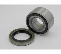 Raglagersatz Assale Posteriore Adatto per Isuzu 03-05 OE zu Vergl 4429021,