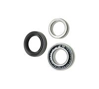 Raglagersatz Assale Posteriore Adatto per Jeep Grand Cherokee 97-05 OE zu Vergl