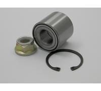 Raglagersatz Assale Posteriore Adatto per Renault Megane II 2.0DCI 02 Scenic 03-