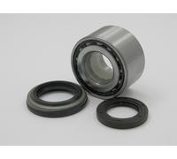 RAGLAGERSATZ HINTERACHSE Adatto Per KIA SORENTO 02.05- OE Zu Vergl.: 051460B