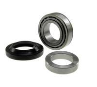 RAGLAGERSATZ HINTERACHSE Adatto Per NISSAN TITAN 03- OE Zu Vergl.: 051956B, 05