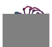 Ragno articolato stampato in 3D, giocattolo ragno stampato in 3D | Giunti mobili stampati in Spider Fidget Toys,Giocattoli da scrivania antistress Giocattoli agitati per adulti, per il compleanno d