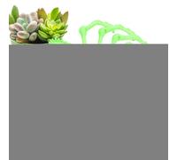 Ragno incernierato Giocattolo Spider Fidget - Giocattoli da ufficio esecutivo Ragno gigante | Giocattoli da ufficio esecutivi per adulti, Giocattoli anti-stress, Giocattoli Fidget, ragno misterioso