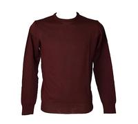 RAGNO Maglia Uomo Pullover paricollo Manica Lunga Pura Lana Merino Extra fine 4,0 Articolo U292M9 Made in Italy, 047 Amaranto, XXXL (3XL)