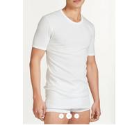 RAGNO maglietta intima uomo lana merino cotone manica corta 65457 girocollo a V