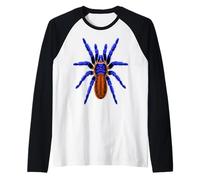 Ragno Tarantola Blu Cobalto Arancio Maglia con Maniche Raglan