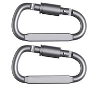 RAGOPILEN Moschettone D, Fibbia ad Anello a D in Lega di Alluminio, moschettone con Clip a Scatto a Molla, Portachiavi, Gancio for Appendere Gli Strumenti, Grandi Ganci a Scatto a Molla(Grey,2 Piece)