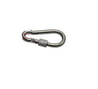 RAGOPILEN Moschettone D, Moschettone a Molla con Dado di Sicurezza in Acciaio Inox, moschettone con Chiusura a Scatto, ferramenta for Rigging, Grandi Ganci a Molla(M6)