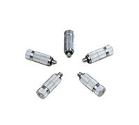 RAHBI Ugelli nebulizzatori ad alta pressione Ugello nebulizzatore Ugello nebulizzatore con filtro, raffreddamento ad acqua for giardinaggio, ugello antipolvere da 3/16 pollici leisurely (Size : 0.3mm