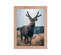 Rahmendesign24 Cornice per poster Milano 60x80 cm in rovere naturale, cornice intercambiabile, portafoto, cornice per puzzle