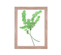 Rahmendesign24 Cornice portafoto a doppio vetro Milano 18 x 24 cm, in rovere Sonoma