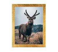 Rahmendesign24 Cornice portafoto Milano 40 x 40 cm, colore oro foglia oro