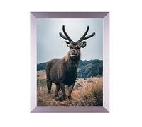 Rahmendesign24 Cornice Portafoto Milano 42 x 59,4 cm (DIN A2) Argento (alta lucentezza) Portafoto, Cornice intercambiabile, Portafoto, Portafoto per puzzle
