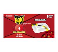 RAID ESCA SCARAFAGGI PZ.6