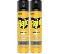 Raid Insetticida Spray Elimina Vespe e Calabroni, per Uso Interno, Azione Rapida per Spruzzo Diretto, 1 Confezione da 800ml