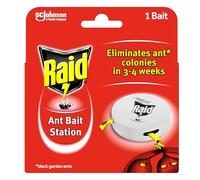 Raid (Paral) - Scatola per formiche per interni ed esterni, confezione da 1 (1 x 43 g)