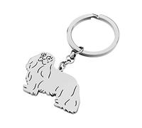 RAIDIN Acciaio inox 18 carati placcato oro argento carino cane portachiavi per le donne ragazze regali per auto borsa chiavi amanti dei cani (Cavalier King Charles Spaniel-004SL)