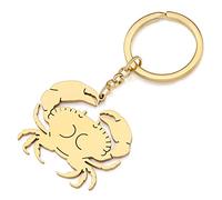 RAIDIN Acciaio inox carino oceano animale cavalluccio marino granchio tartaruga portachiavi gioielli per donne ragazze regali auto chiavi borsa accessori (Granchio d'oro)