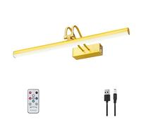 RAIFOOLLY Luce per quadri, 40,6 cm, a batteria, per dipinti, con telecomando in metallo, luce artistica con timer e dimmerabile, per pittura murale, cornice, ritratto, bersaglio per freccette, ottone