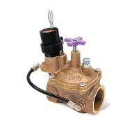 Rain Bird EFB-CP Inline-Ventil mit Durchflussregelung 1 Zoll FPT | EFB-CP-100